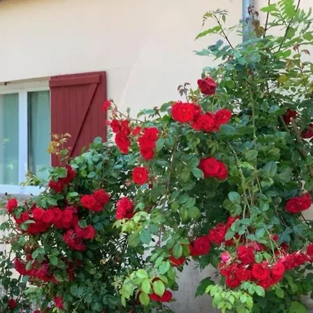 Beautiful House In / Swimming Pool 12 Persons