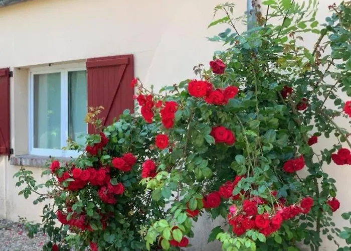 Beautiful House In / Swimming Pool 12 Persons